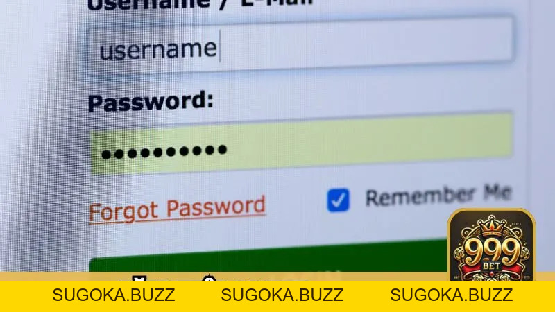 Hướng dẫn | 999bet - SUGOKA